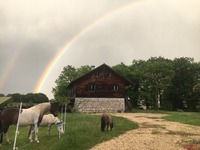 Bienvenue au centre hippique Terre & Ciel